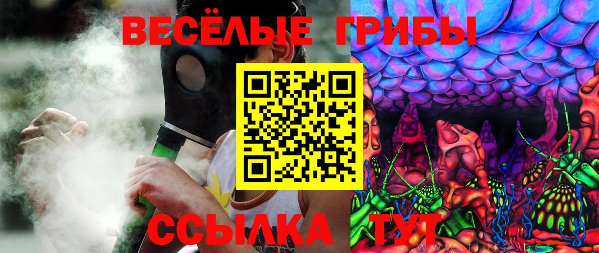 Галлюциногенные грибы MAGIC MUSHROOMS Находка